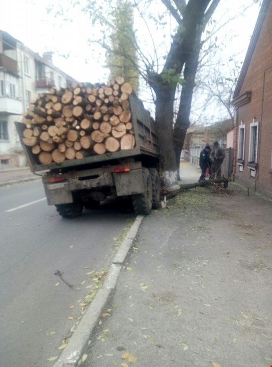 У Кропивницькому загальмувала об дерево вантажівка... з деревом (ФОТО)