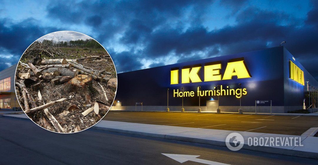 IKEA відреагувала на скандал з незаконними поставками дерева з України