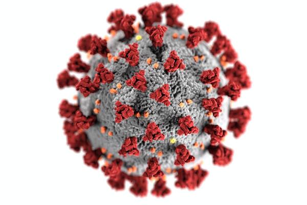 Вірус COVID-19. Ілюстрація. Джерело: pexels.com